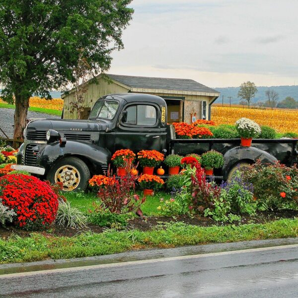 PA TRUCK